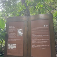 Photo taken at Bukit Timah Nature Reserve Visitor Centre by Annie A. on 4/10/2024