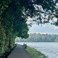 Photo taken at MacRitchie Reservoir by Annie A. on 1/28/2024