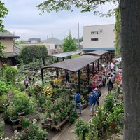 渋谷園芸 練馬区 東京都 渋谷園芸 練馬区 東京都