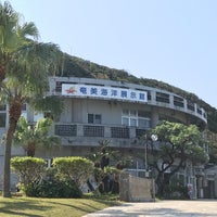 奄美海洋展示館 Aquarium In 奄美市 奄美海洋展示館 Aquarium In 奄美市