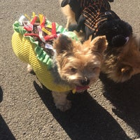 Photo taken at Freeway Dog Run by Ginny v. on 10/28/2017