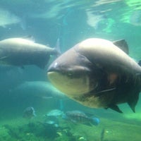 Foto tomada en Smithsonian’s National Zoo  por Sayon D. el 7/20/2013