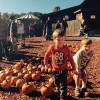 Photo taken at Burt&amp;#39;s Pumpkin Farm by deana s. on 10/18/2015