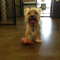 Photo taken at Perk-N-Pooch by Trace V. on 7/15/2013