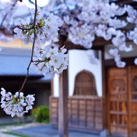 Photo taken at 光源寺 by keing116 on 3/31/2014