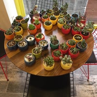 Photo taken at Amelie&amp;#39;s Garden Succulent &amp;amp; Coffee by Dz on 12/17/2016