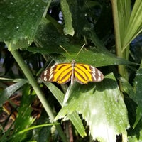 Photo taken at Butterfly Wonderland by Mike M. on 2/18/2020
