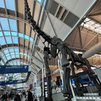 Photo taken at Brachiosaurus Altithorax by James Z. on 1/1/2023