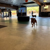 Photo taken at Dogwood Indoor Dog Park by James Z. on 10/15/2022