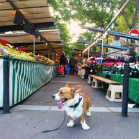 Marche De L Alma Chaillot Paris Ile De France