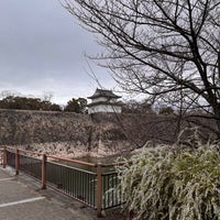 Photo taken at Osaka Castle by Alexey Y. on 3/26/2024