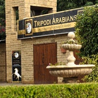 Das Foto wurde bei Tripodi Arabians von Tripodi Arabians am 10/24/2016 aufgenommen