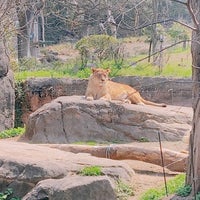 Photo taken at Tennoji Zoo by erina on 3/16/2024
