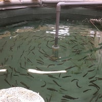 Photos At 釣り堀カフェ Catch And Eat 吉祥寺店 吉祥寺本町1 23 3