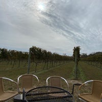 Photo taken at Willow Creek Winery by Martin on 11/6/2020
