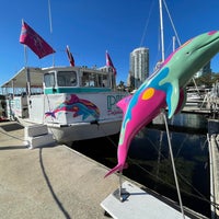 Photo prise au Pier Dolphin Cruises par Glenn V. le12/29/2021