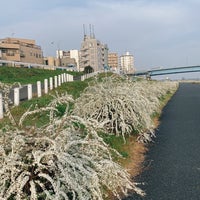 Photo taken at 多摩川河川敷 246橋架下 by marinqq on 3/22/2022