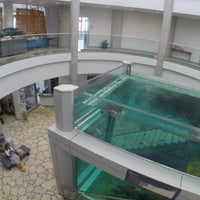 奄美海洋展示館 Aquarium In 奄美市