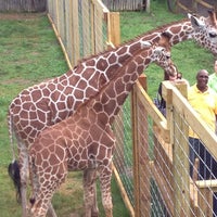5/23/2013 tarihinde Kat B.ziyaretçi tarafından Elmwood Park Zoo'de çekilen fotoğraf