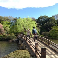 日本庭園 Garden In 新宿区 日本庭園 Garden In 新宿区