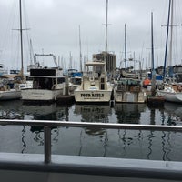6/8/2016에 Joseph L.님이 San Diego Whale Watch에서 찍은 사진