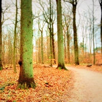 Photo taken at Volksdorfer Wald by Dany B. on 11/21/2015