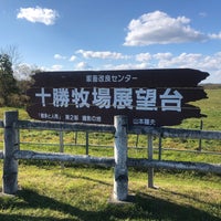 十勝牧場展望台 - 駒場並木
