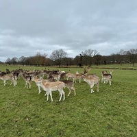 Photo taken at Richmond Park by Jomana on 2/25/2024