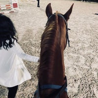 Photo taken at International Riding School by Jomana on 11/28/2020