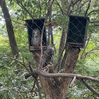 9/3/2022 tarihinde Elizabeth T.ziyaretçi tarafından Queens Zoo'de çekilen fotoğraf