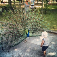 Foto diambil di Jardins do Palácio de Cristal oleh Jana M. pada 6/26/2013