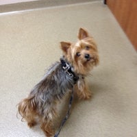 mission animal bird hospital