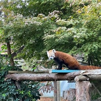 Photo taken at Sequoia Park Zoo by melissa t. on 9/22/2023