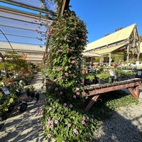 Photo taken at Berkeley Horticultural Nursery by melissa t. on 11/13/2023