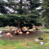 Foto diambil di Sequoia Park Zoo oleh melissa t. pada 9/19/2022