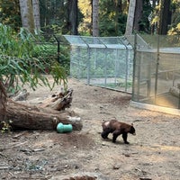 Foto diambil di Sequoia Park Zoo oleh melissa t. pada 9/22/2023