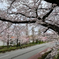 Photo taken at 大学通り by Ishikawa H. on 3/27/2023