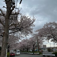 Photo taken at さくら通り by Ishikawa H. on 3/27/2023