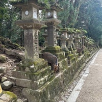 Photo taken at Kasuga-taisha Shrine by Chelsea F. on 3/11/2024