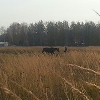 Photo taken at Валентиновское поле by Nyusha L. on 10/20/2012