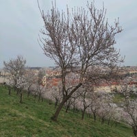 Photo taken at Seminářská zahrada by Katarína on 3/29/2022