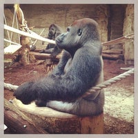 Miejski Ogrod Zoologiczny Nowa Praga Warschau Woiwodschaft