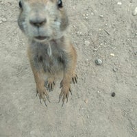 Foto tirada no(a) Budapesti Állatkert | Budapest Zoo por Eszter G. em 9/9/2017