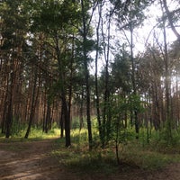 Photo taken at Северный лес by Sergey M. on 7/9/2017
