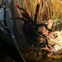 Photo taken at Spiders Alive by Fe L. on 1/4/2013
