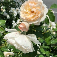 泉南市農業公園 花咲きファーム 泉南市 大阪府