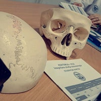 Photo taken at Institut za anatomiju by Teodora G. on 2/23/2021