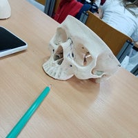 Photo taken at Institut za anatomiju by Teodora G. on 4/29/2021
