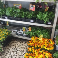 Flower Market 花市場 青山店 青山 東京 東京都 Flower Market 花市場 青山店 青山 東京 東京都