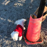 Photo taken at Little Bay Park Dog Run by Michael C. on 12/27/2016